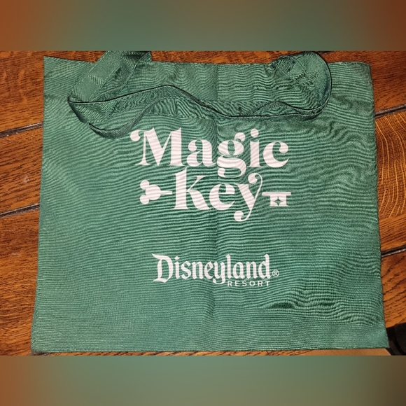 Disneyland Green Viva Navidad Three Caballeros Tote Bag - Picture 4 of 4